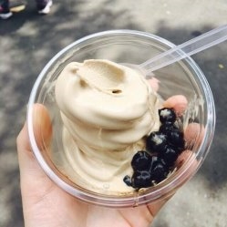 食科週開跑 特殊口味冰淇淋開賣 食科週開跑 特殊口味冰淇淋開賣