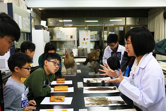 培養孩童興趣 首屆生態營動手玩自然 培養孩童興趣 首屆生態營動手玩自然