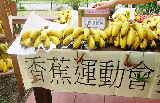 輔大社企發起香蕉運動會 用預購幫助小農