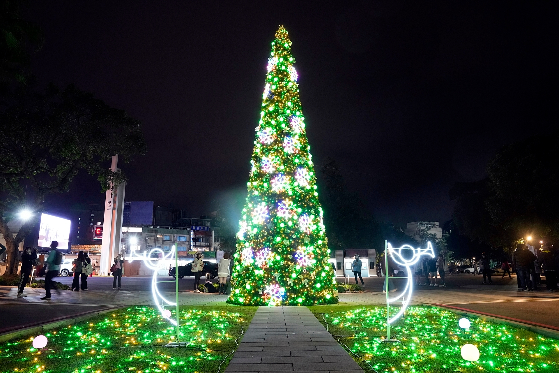輔大聖誕點燈亮起來   校園「綠色燈海」原因曝光